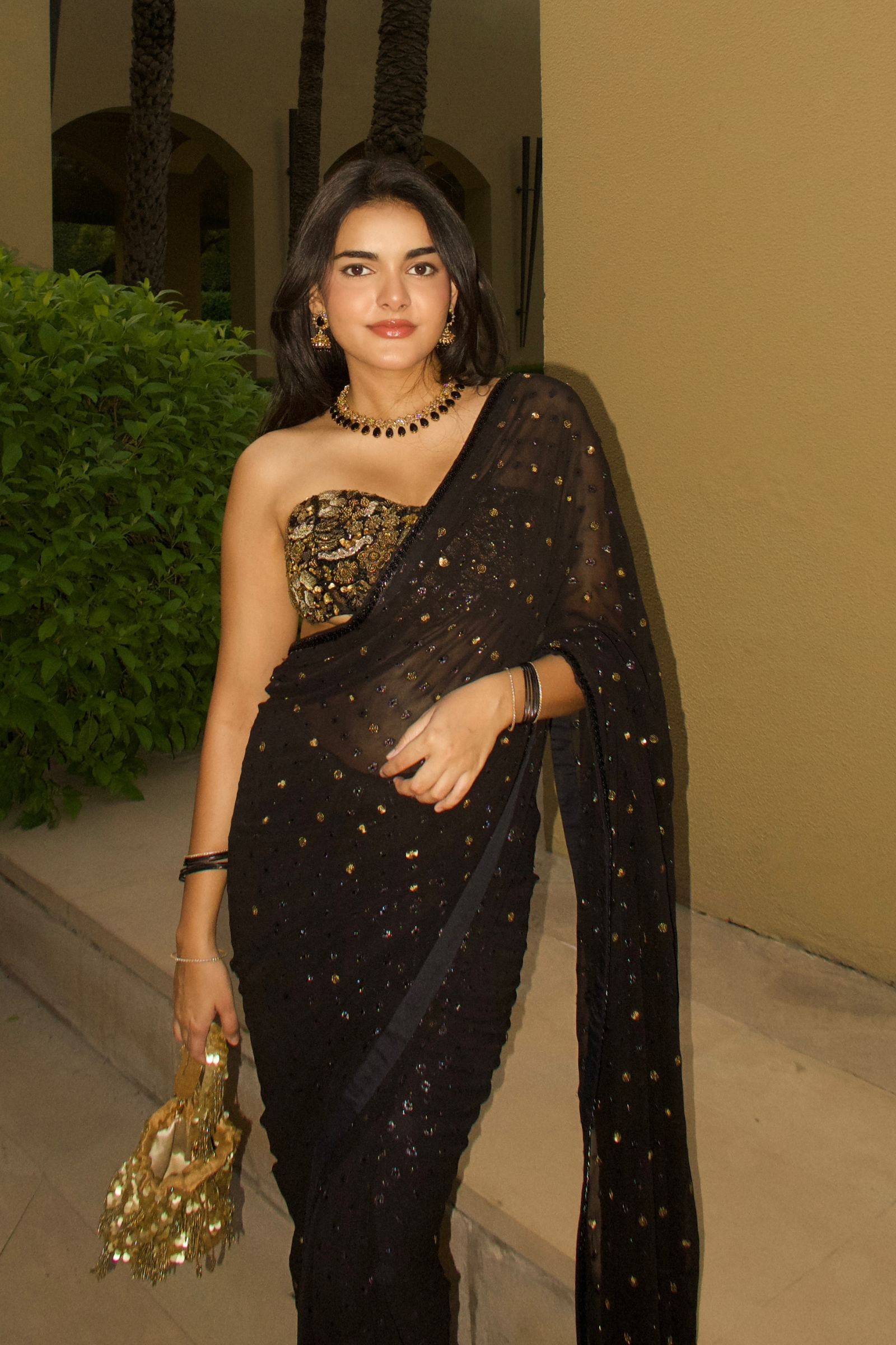 Untamed Saree