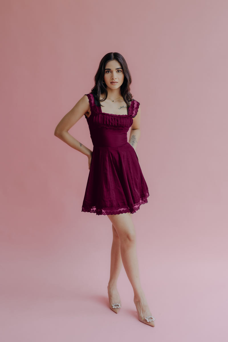 Amelia Wine A-Line Mini Dress