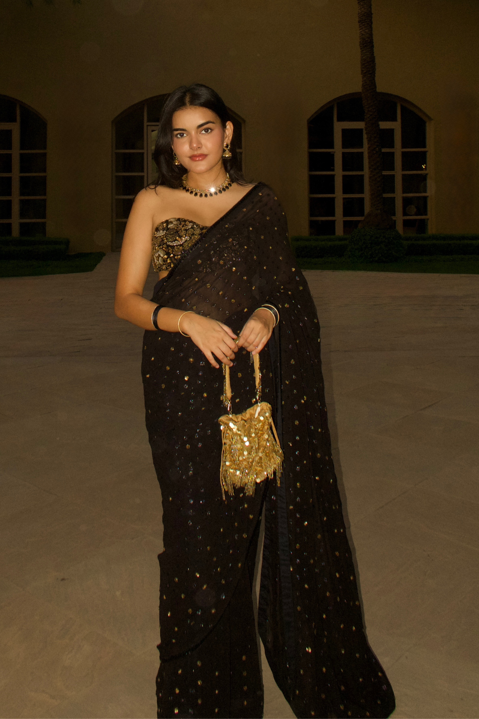 Untamed Saree